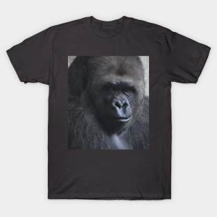 Western Lowland Gorilla T-Shirt